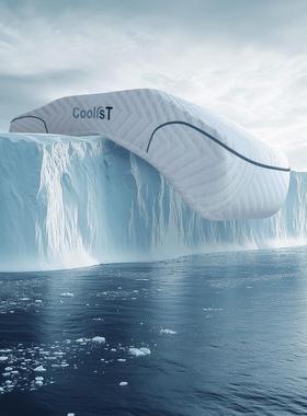 CoolisT顾乐仕天然生物基 颈悦枕 深睡眠记忆绵护颈承托成人枕