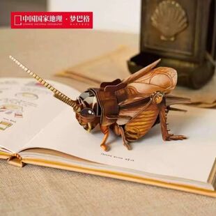 梦巴格3d昆虫造型模型拼图手工DIY立体木质拼板儿童益智教育玩具