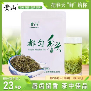 2025年新茶都匀毛尖茶20克贵州贵山绿茶毛尖茶散装高山云雾茶叶