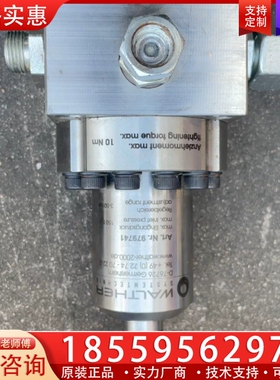 Walther 扭矩泵 979740 【议价】