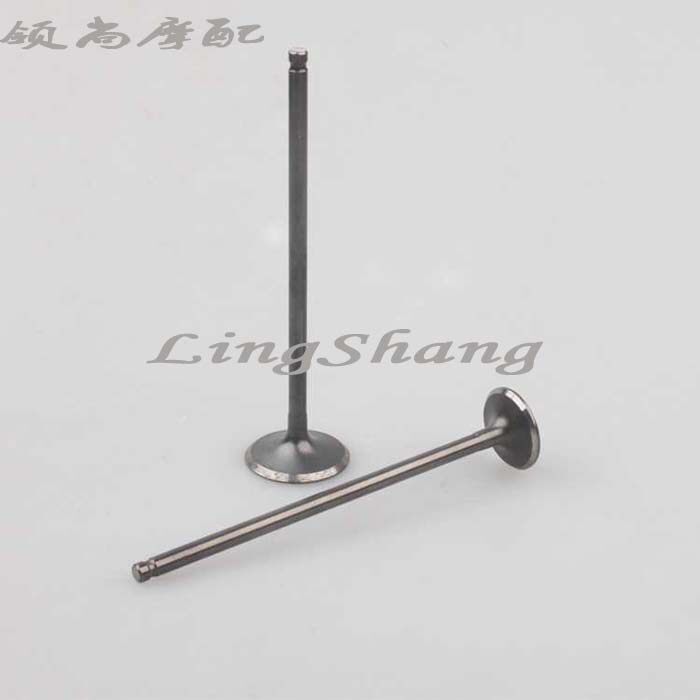 摩托车配件 CBR250 19 22 19期 22期 气门 气门杆 一对价格