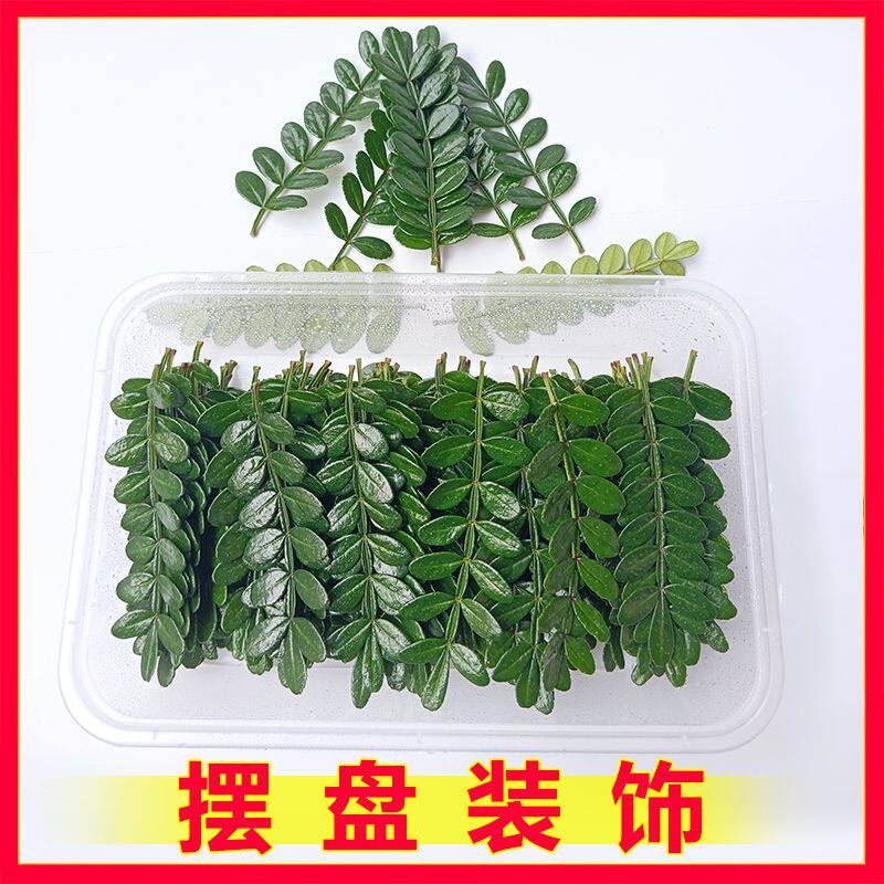 新鲜胡椒木叶子蛋糕装饰图片
