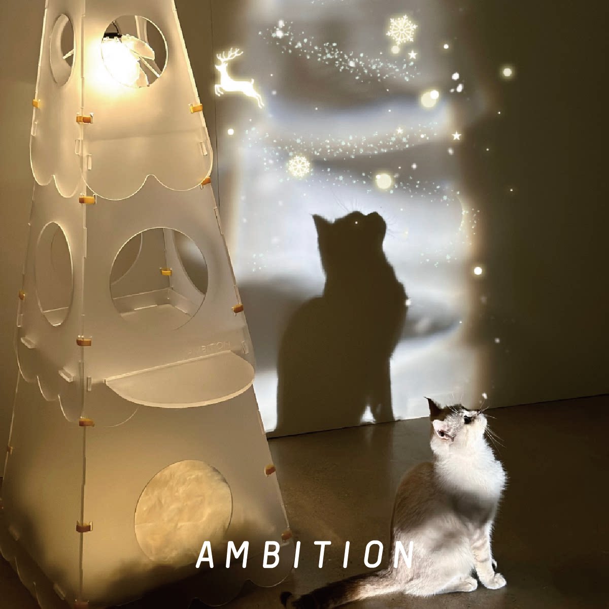 小野芯Ambition亚克力猫塔猫爬架