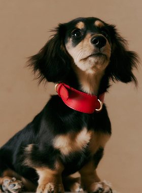 1ErBud 手工西班牙牛头皮柔软3cm宽版 简约日用真皮宠物狗狗项圈