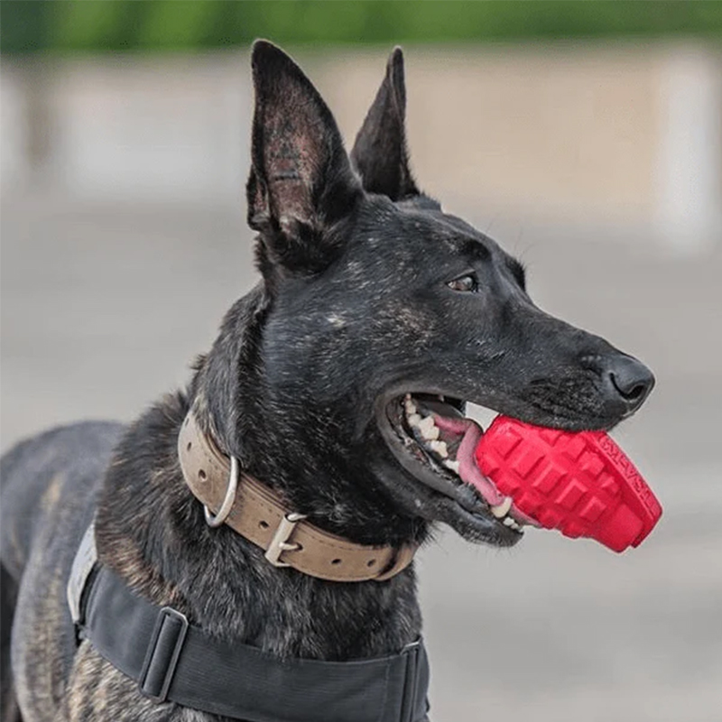 耐咬狗玩具Sodapup咬胶漏食大狗