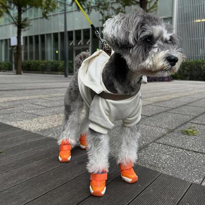 Rifruf狗鞋弹性保护脚掌