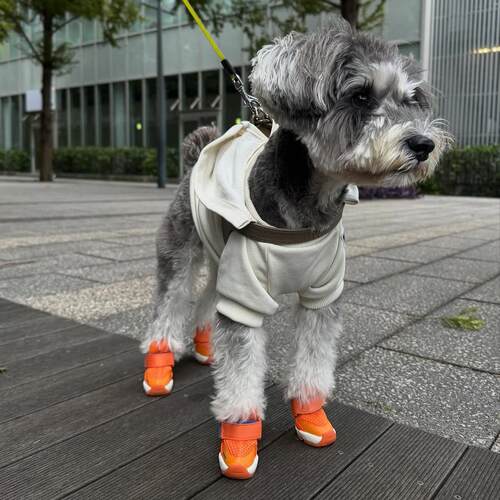 Rifruf狗鞋弹性保护脚掌