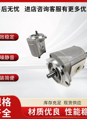 康百世齿轮泵P204RT01DT/P208RT01DT/P211/P214/P216高压液压油泵