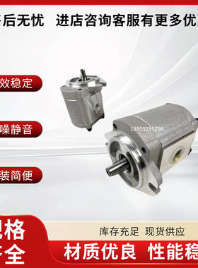 康百世齿轮泵P204RT01DT/