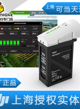 大疆DJI悟1TB47TB48电池
