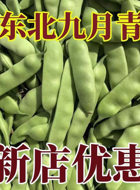 东北特产九月青豆角新鲜豆角现摘现发开锅烂油豆角新鲜豆角包邮