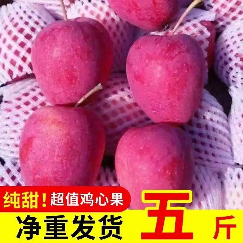 正宗东北鸡心果大果锦绣海棠酸甜苹果