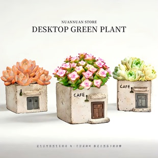 钱串子群多头多肉花盆栽绿植物可爱摆件办公室内桌面治愈梦露好养