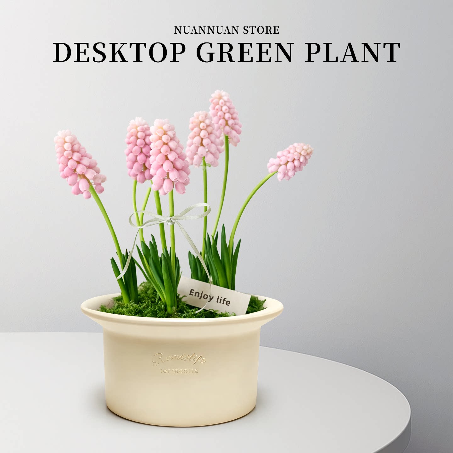 风信子葡萄种球植物花卉盆栽日出盆景高级精品室内桌面绿植好养活