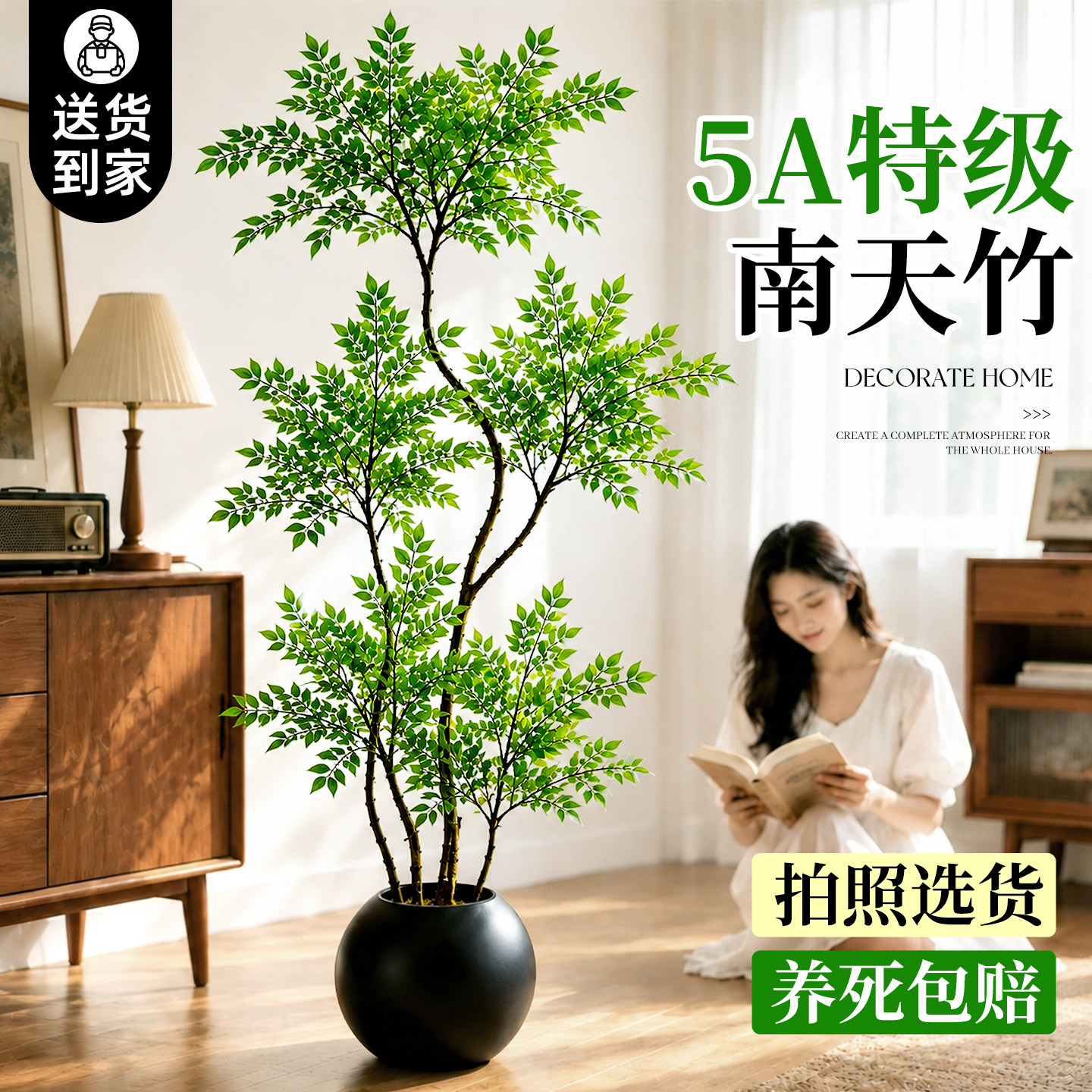 夏绿冬红！一年赏四景图片