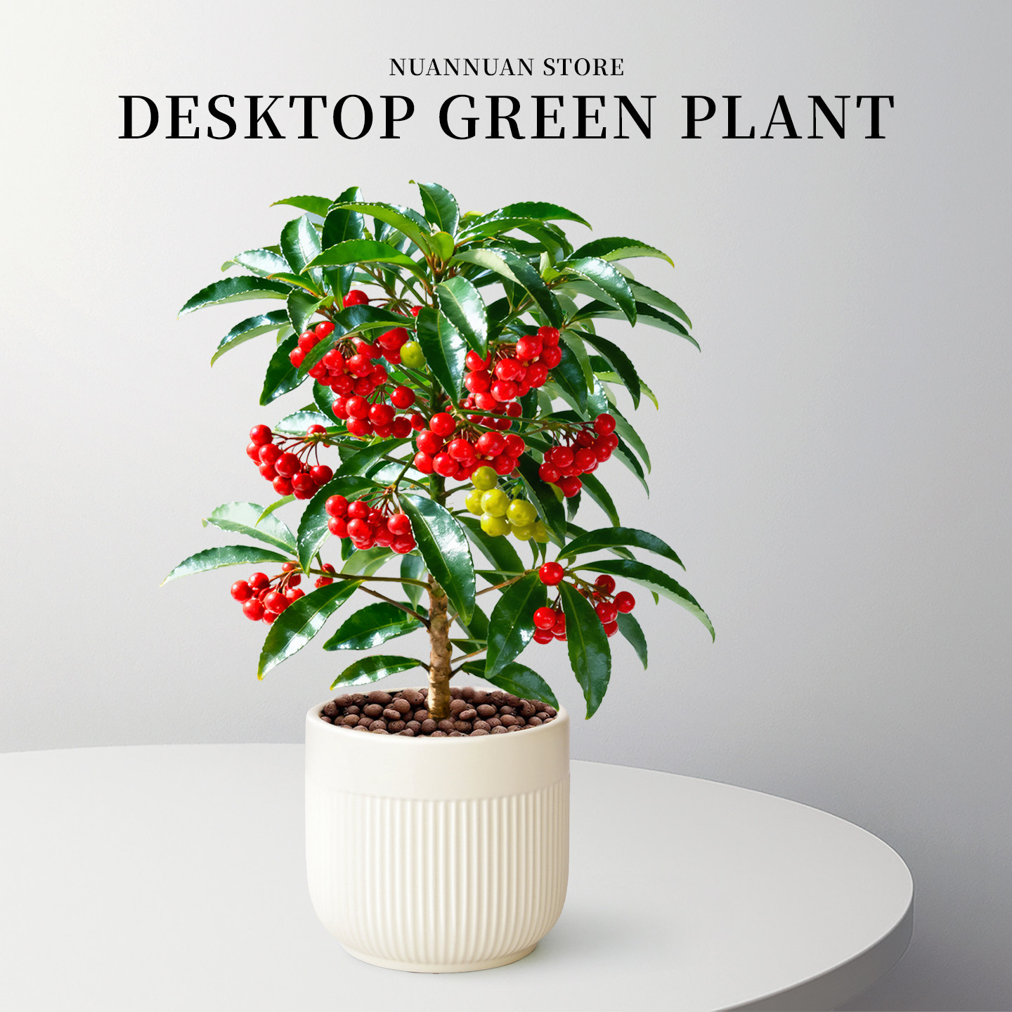 富贵籽盆栽带红果老桩大绿植金玉满堂招旺财黄金万两年宵花卉植物,鲜花速递/花卉仿真/绿植园艺,绿植,淘宝优惠券,粉丝福利购,淘宝优惠卷