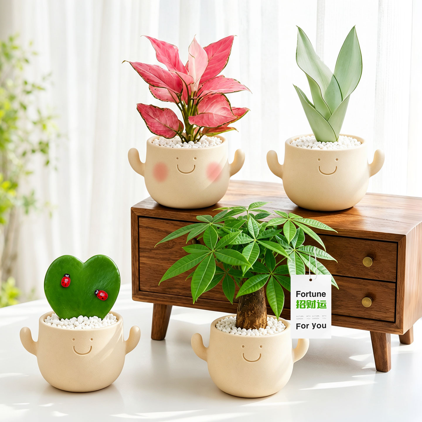 办公室内桌面绿植物花小盆栽发财树工位招财笑脸幼儿园教师节礼物