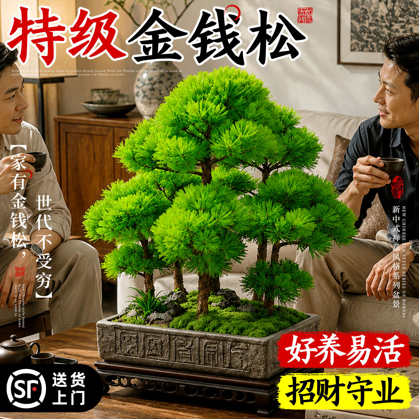 金钱松老桩盆景树苗植物盆栽办公室内桌面绿植招财四季懒人好养活
