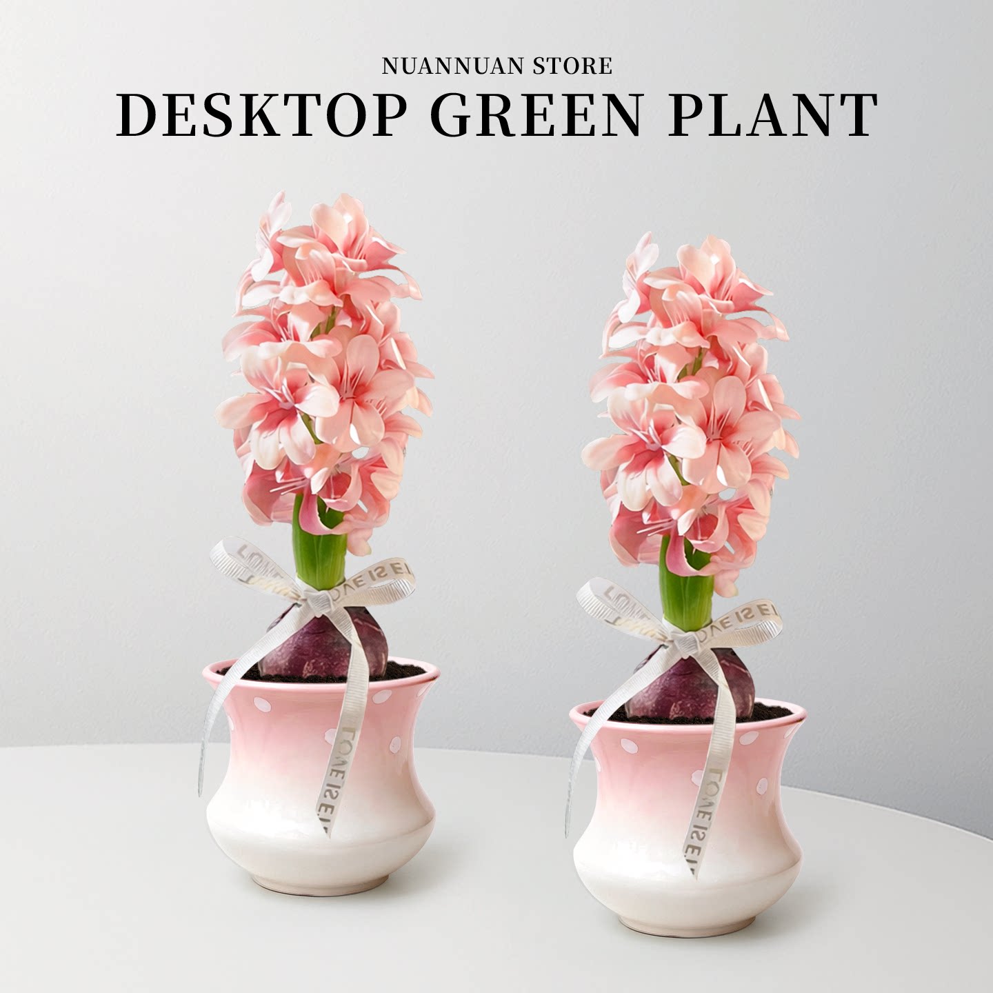 风信子盆栽种球植物粉色花朵带盆花卉绿植办公室内桌面四季好养活