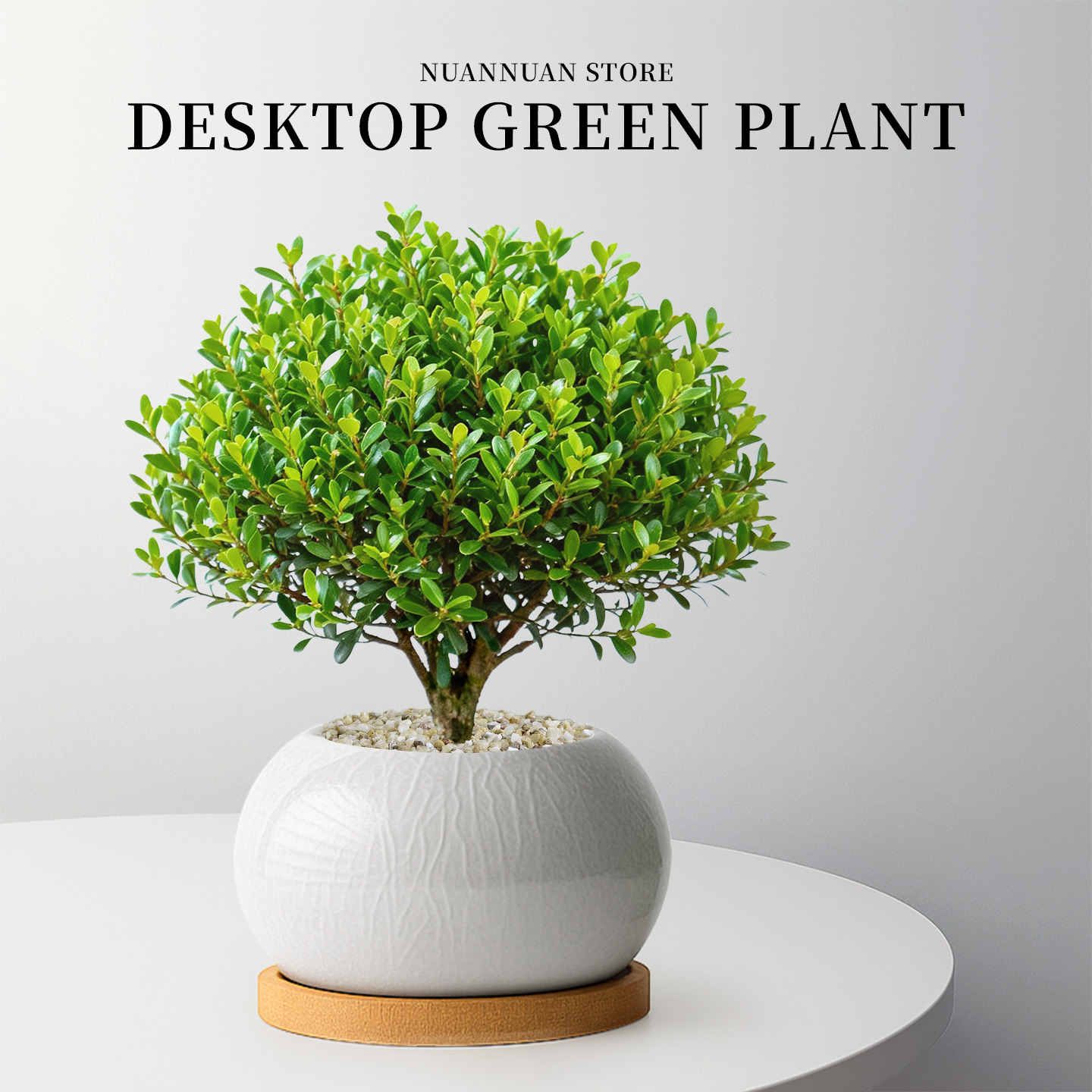 小叶赤楠盆栽绿植树苗老桩盆景四季植物室内客厅桌面精品摆件好养,鲜花速递/花卉仿真/绿植园艺,时令草本花卉,淘宝优惠券,粉丝福利购,淘宝优惠卷