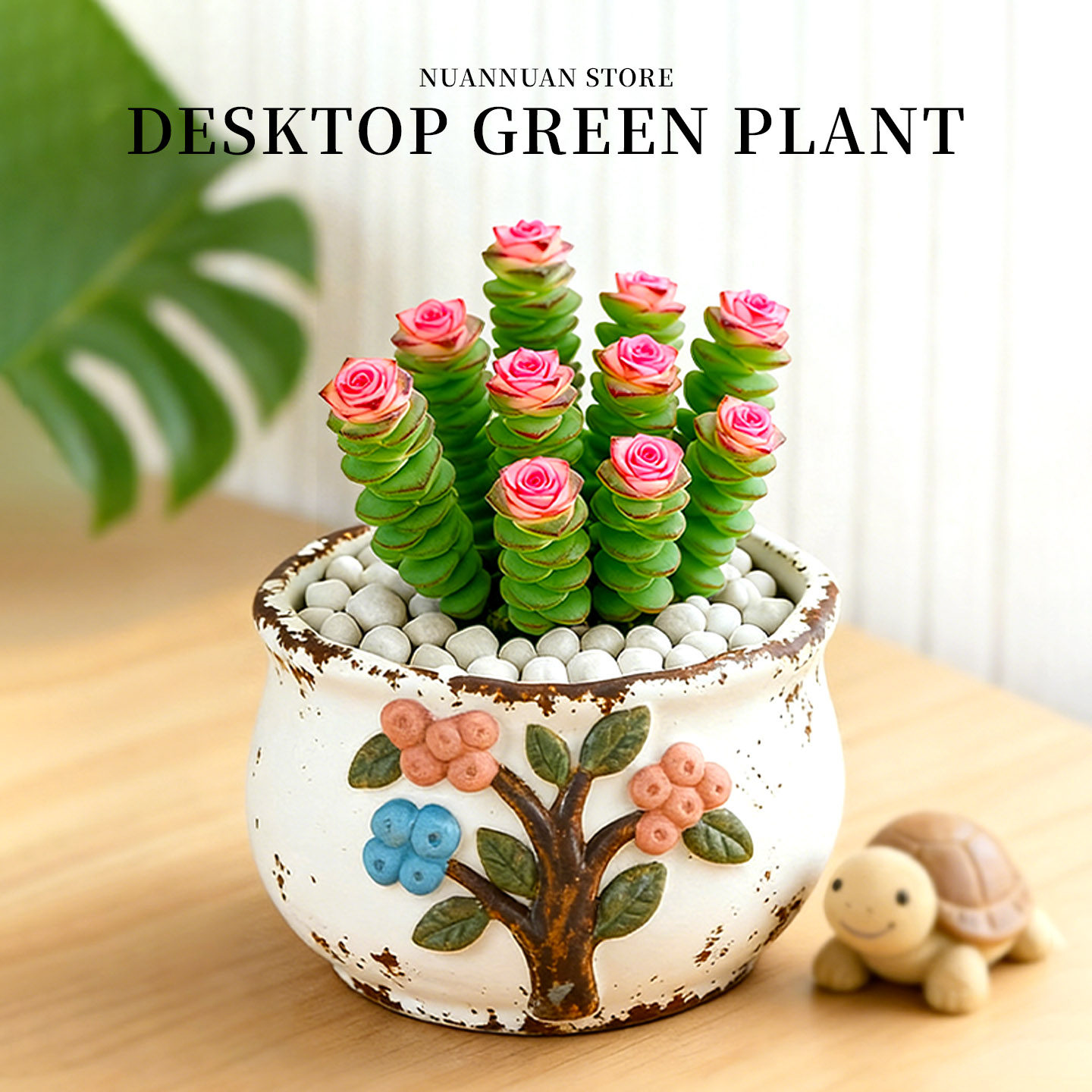 钱串子多肉植物阳台室内盆栽大颗好养办公室桌面花卉绿植招财摆件,鲜花速递/花卉仿真/绿植园艺,多肉植物,淘宝优惠券,粉丝福利购,淘宝优惠卷