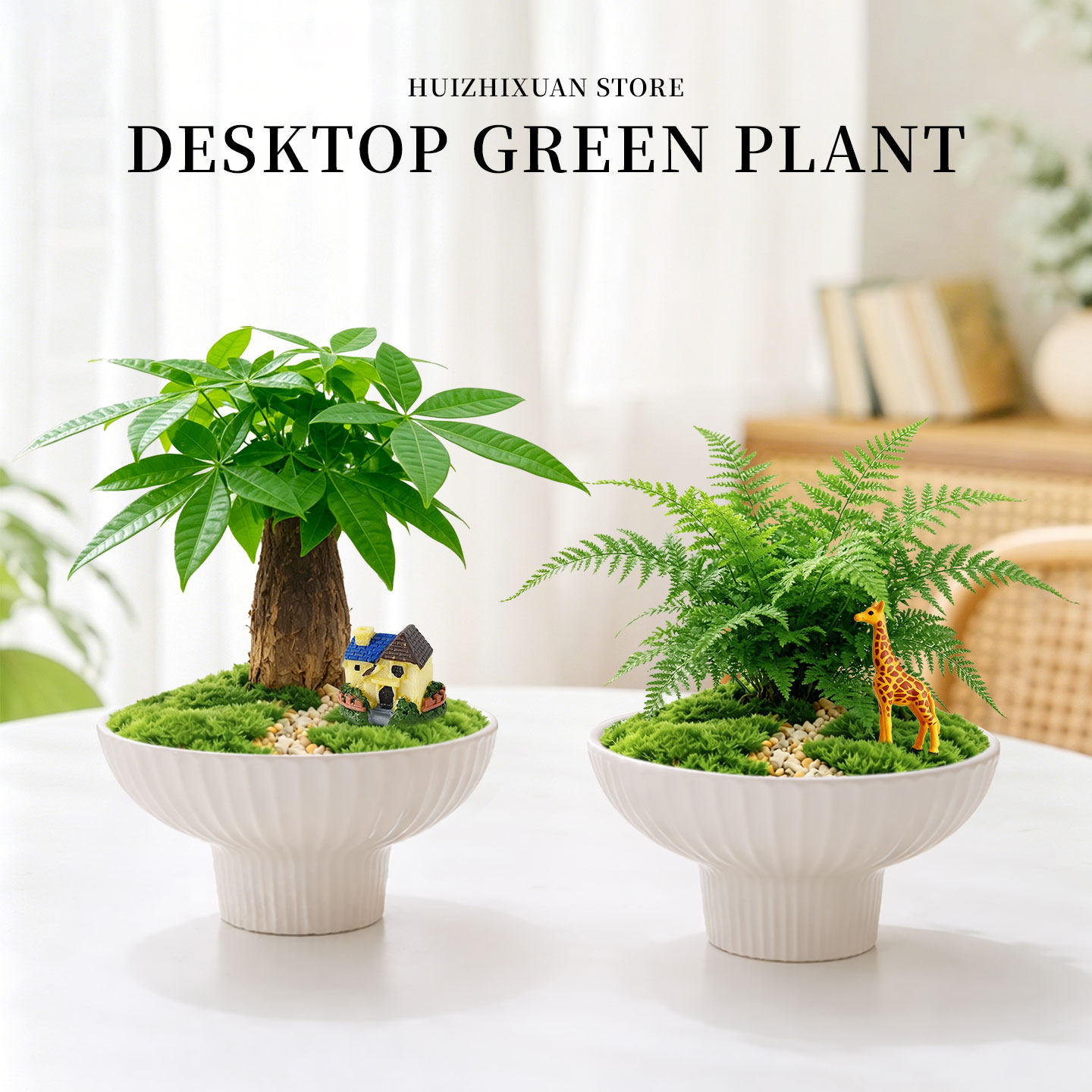 绿植盆栽室内桌面苔藓微景观植物盆景发财树创意摆件diy懒人好养