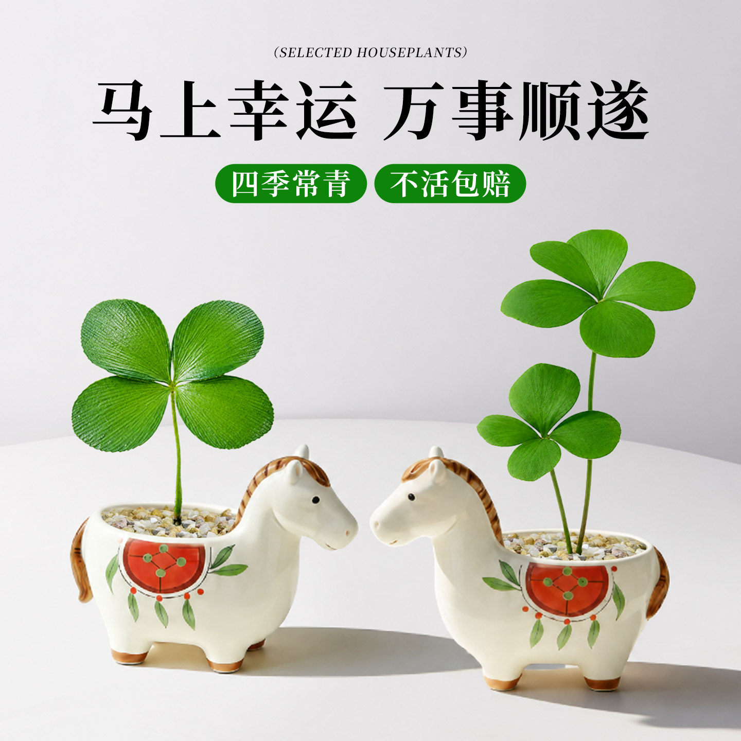马上幸运四叶草植物盆栽办公室内桌面好运绿植摆件四季懒人好养活