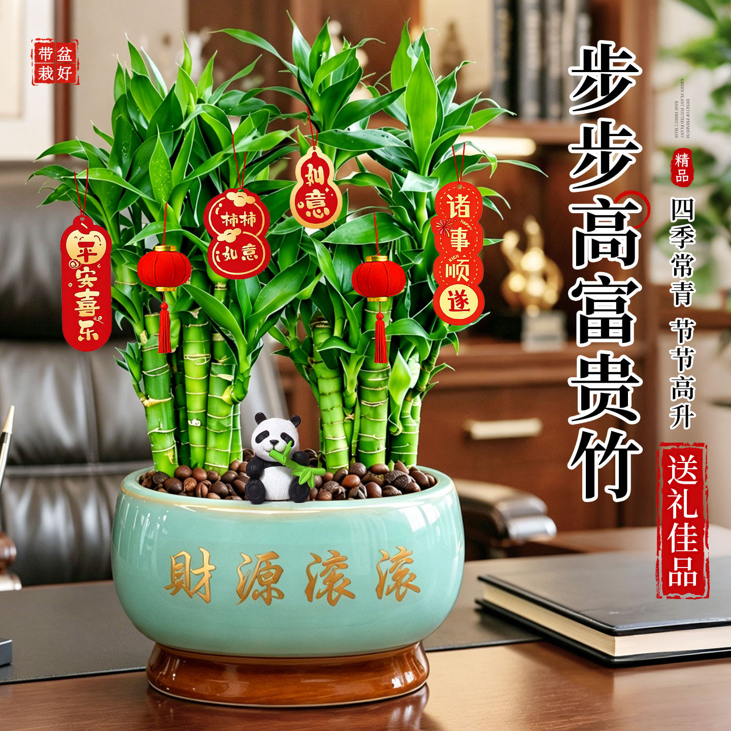 步步高富贵竹盆栽招财旺宅植物办公室内客厅桌面绿植盆景送礼好养
