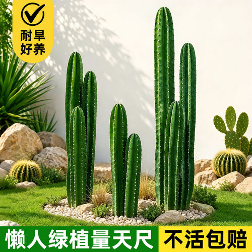 返璞归真清新自然的休闲