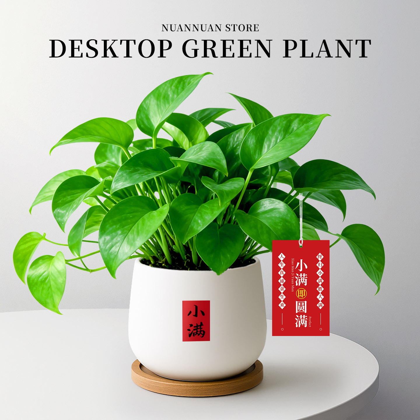 绿萝盆栽室内客厅桌面吸醛净化空气植物盆景新家搬迁绿植四季好养,鲜花速递/花卉仿真/绿植园艺,绿植,淘宝优惠券,粉丝福利购,淘宝优惠卷