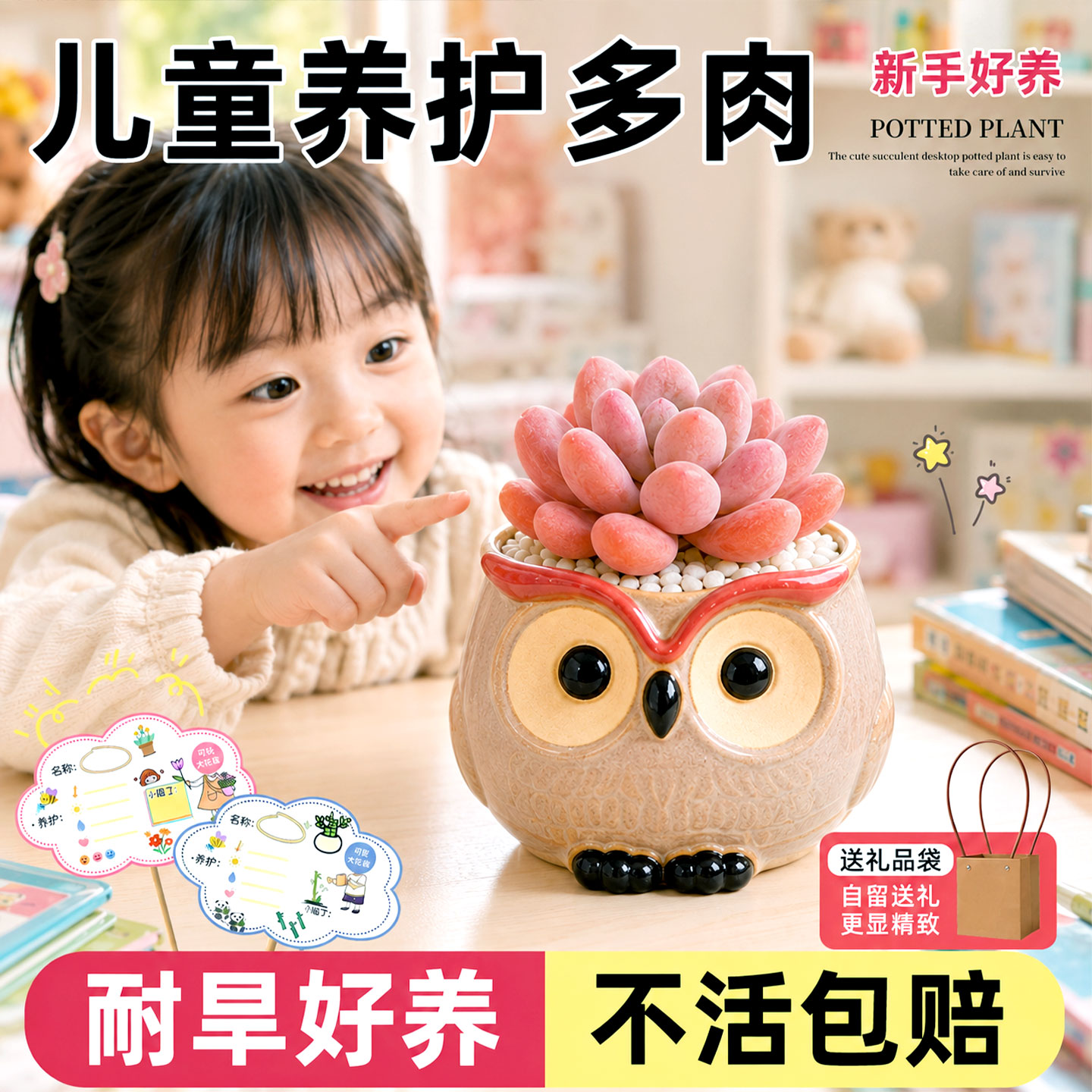 多肉盆景肉肉幼儿园小朋友绿植物盆栽送礼物品高档精致装饰好养活