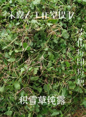单方积雪草纯露CLR/采露人补水修