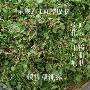 采露人积雪草纯露 私人鲜花纯露定制 采露人工作室提取 单方纯露