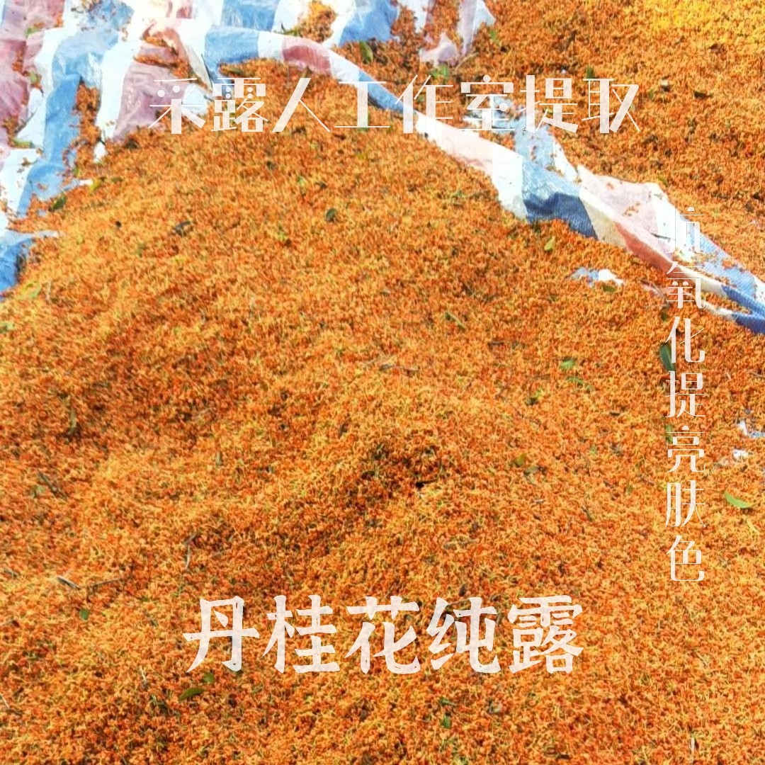 单方鲜花纯露定制工作室提取桂花