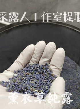 薰衣草纯露CLR/采露人祛痘