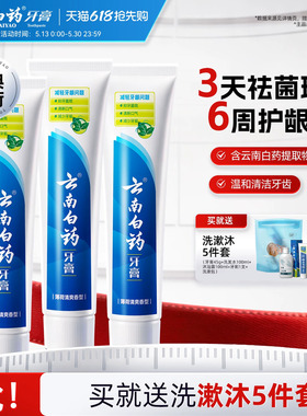 云南白药牙膏薄荷清爽香型210g清新口气减轻牙垢护龈囤货装正品
