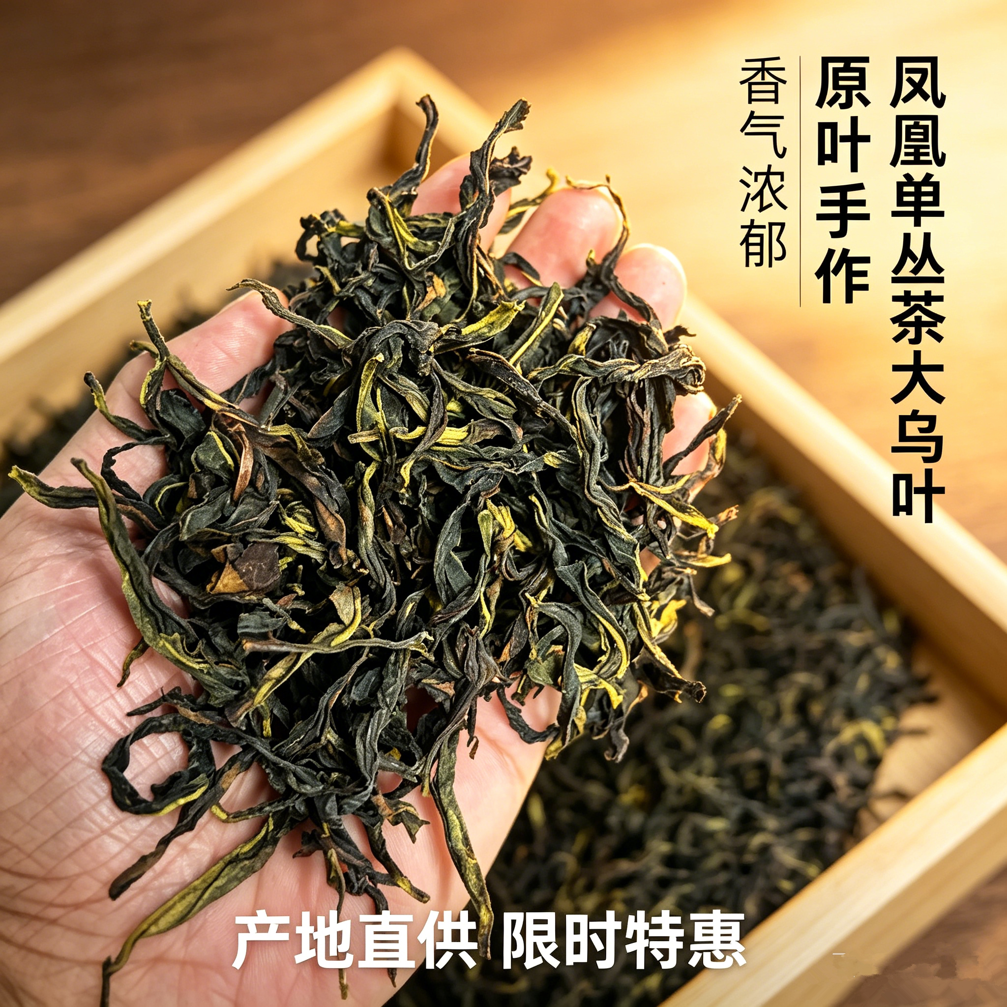 正宗潮州凤凰单枞茶2026新茶清香大乌叶潮汕茶叶凤凰单丛50/500g图片