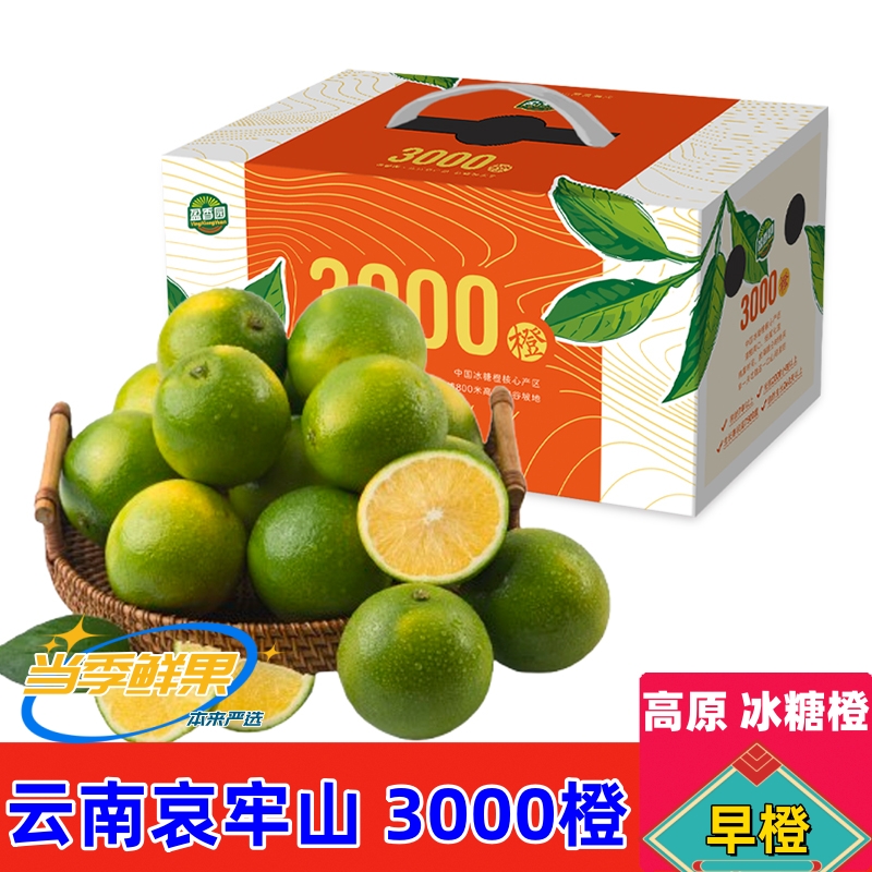 云南哀牢山冰糖橙3000橙