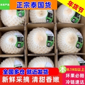8.1KG以上 泰国椰青 9个大果原箱新鲜椰子椰青香椰正宗进口新货