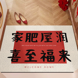 丝圈地垫入户门垫防水防污耐磨防滑家用进门大门口脚垫可裁剪定制