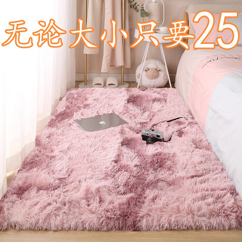 地毯卧室床边毯客厅满铺大面积毛毯垫子家用少女房间宿舍民宿地垫