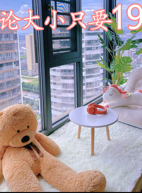 2024新款长毛绒地毯飘窗垫沙发客厅茶几地垫卧室床边垫阳台坐垫毯