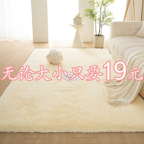 卧室地毯不论大小19元一张