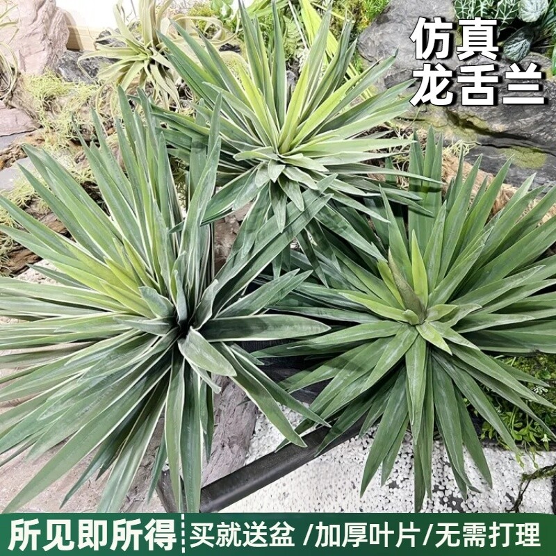 仿真沙漠肉质龙舌兰欧式剑麻叶树芦荟室内落地庭院造景绿植物盆栽