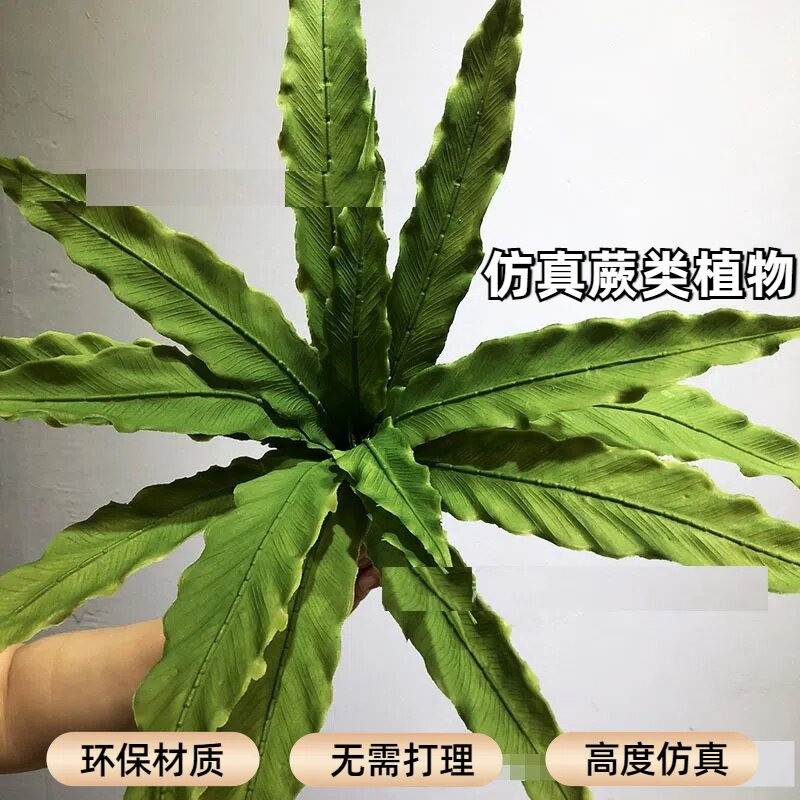 仿真蕨类15片鸟巢蕨波斯叶配材