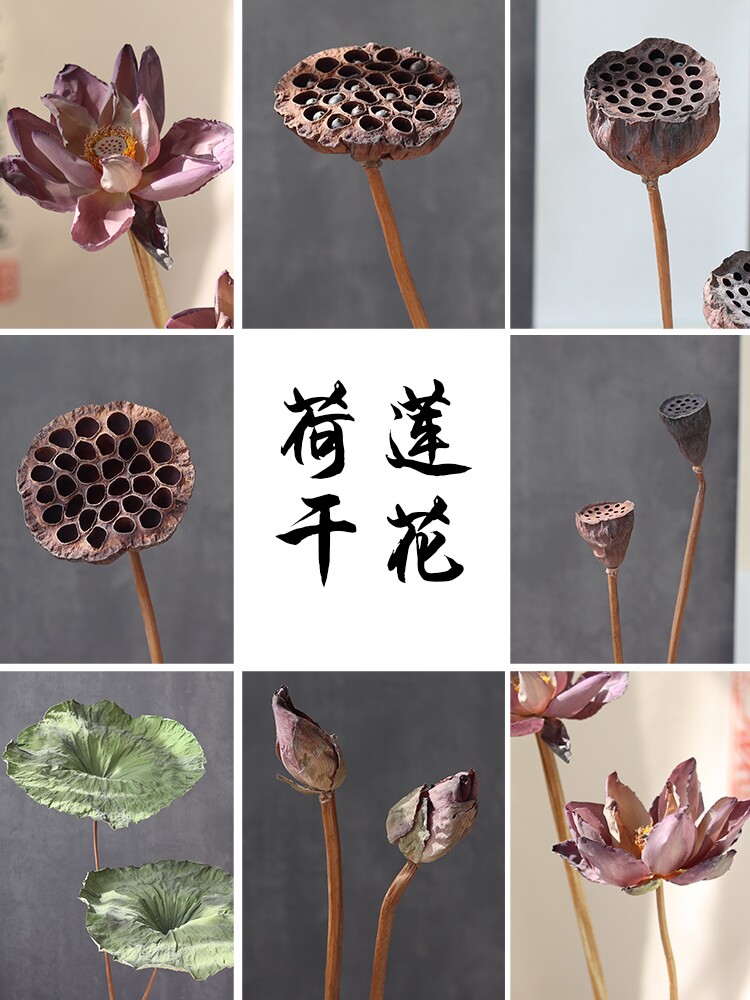 天然莲蓬干花真花风干荷叶荷花花束客厅摆设高级感新中式寓意好