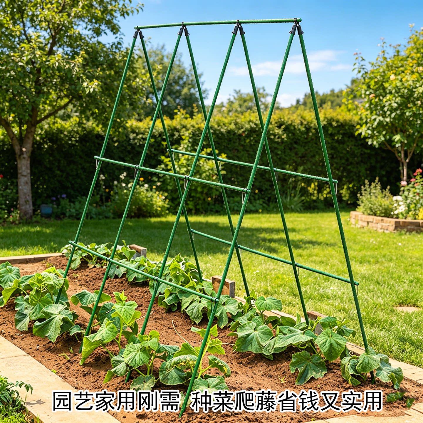 庭院造景包塑钢管爬藤架防锈耐用月季花卉黄瓜藤蔓植物搭架支撑杆