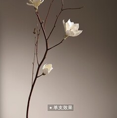 客厅落地天然玉兰干枝干花花束干支干树枝树装饰玉兰花仿真花卧室