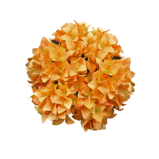 仿真三角梅干枝假花摆件塑料花家居客厅摆设工程装饰绢花婚庆造景