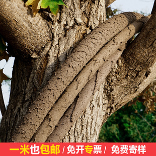 仿真树藤穿线管空心软皮管户外电线电缆保护套景区假树藤装饰遮挡